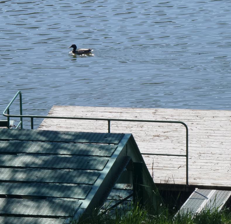 Tiszavirag Nyaralohaz Villa Szeged Bagian luar foto