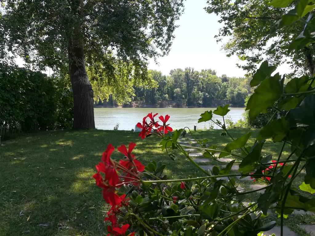 Tiszavirag Nyaralohaz Villa Szeged Bagian luar foto